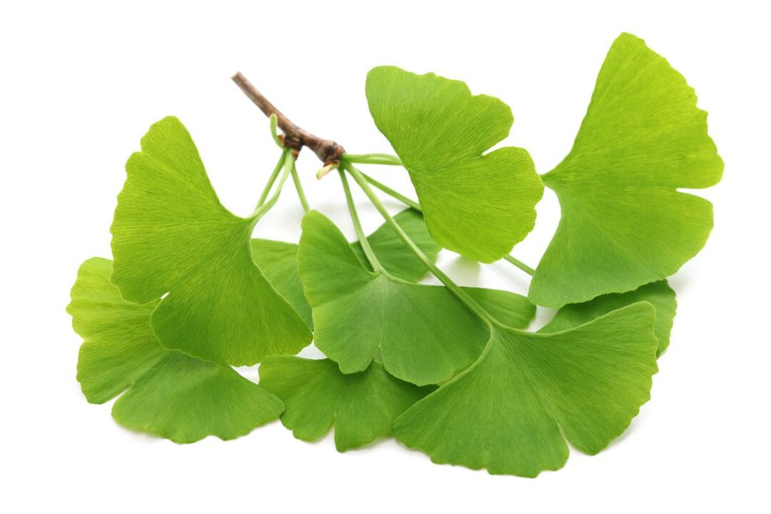 ginko biloba an Drëpsen Alcozar